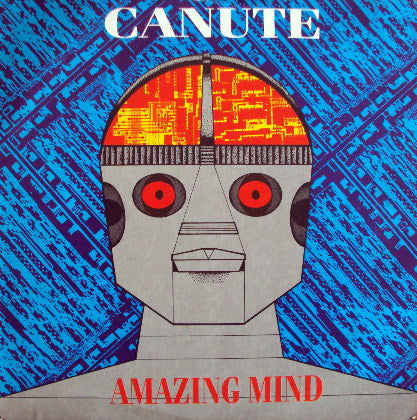 Canute - Amazing Mind - Used Vinyl Record 7"