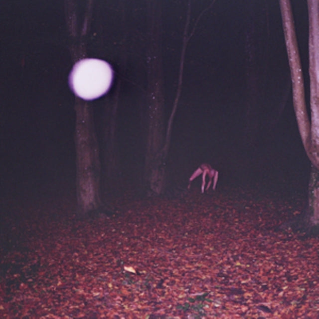 Buzzard Buzzard Buzz - Skinwalker - CD
