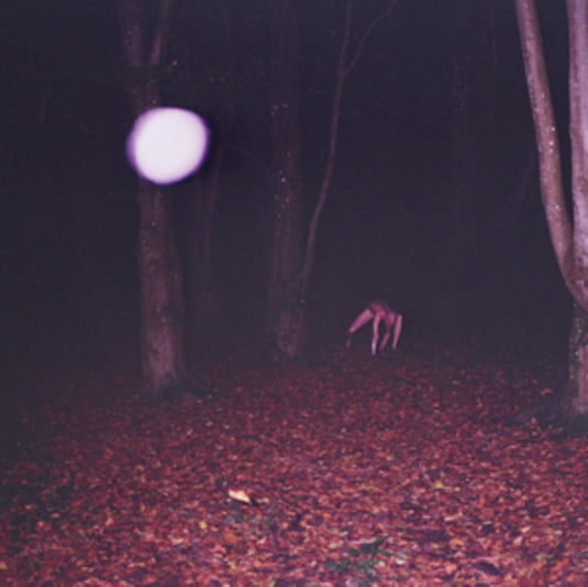 Buzzard Buzzard Buzz - Skinwalker - CD