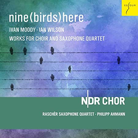 Nine (Birds) Here - CD