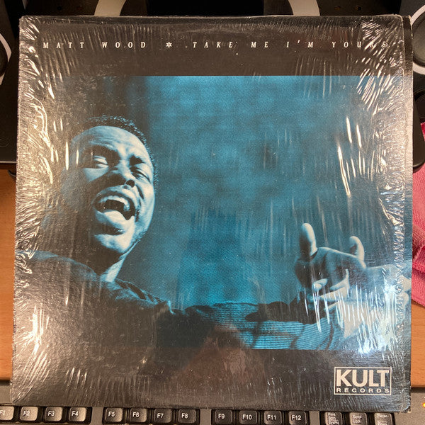 Matt Wood - Take Me I'm Yours - Used Vinyl Record 12"
