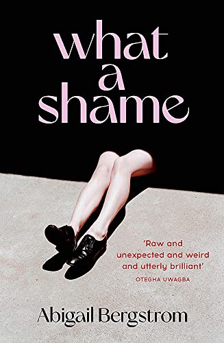 Abigail Bergstrom - What a Shame : &#39;Intelligent, moving and darkly