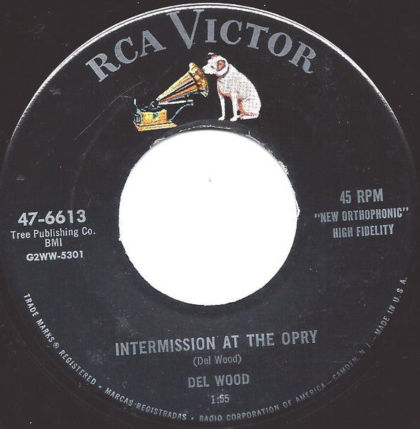Del Wood - Intermission At The Opry / Are You From Dixie? - Used Viny
