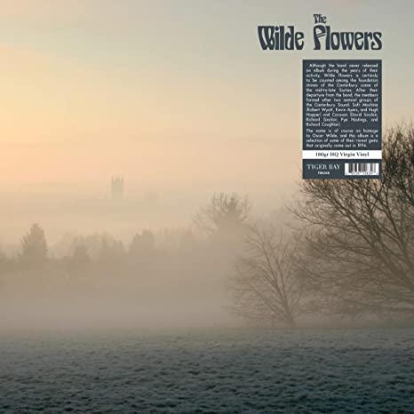 Wilde Flowers - Vinyl Record