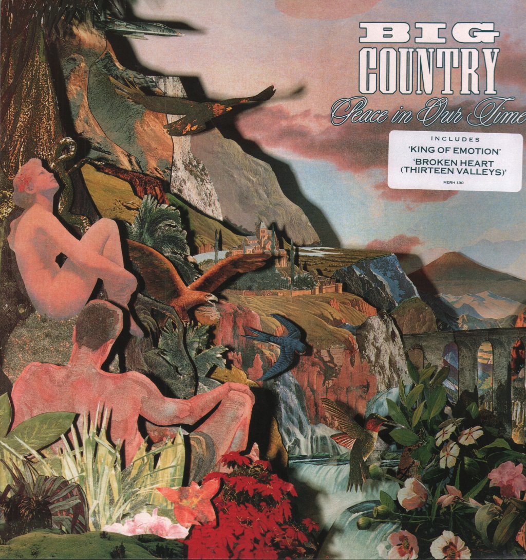 Big Country - Peace In Our Time - Used Vinyl Record