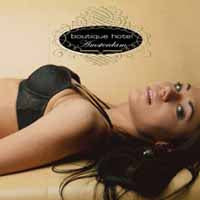 VARIOUS ARTISTS - BOUTIQUE HOTEL AMSTERDAM - CD