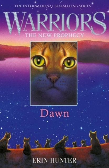 Erin Hunter - DAWN : 3 - Paperback