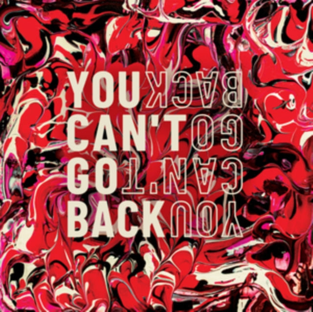 SARIN - YOU CANT GO BACK - Vinyl Record