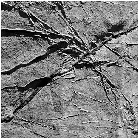 AGF & VARIOUS - ARACHNESOUND - CD