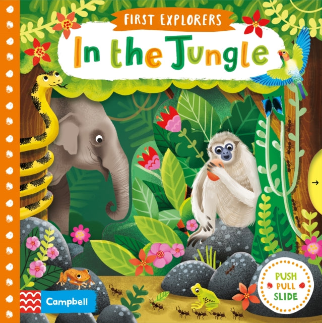 Jenny Wren - In the Jungle - Board book