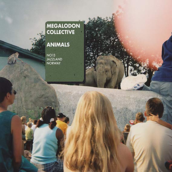 Megalodon Collective - Animals - Used CD