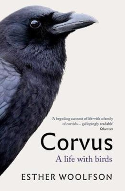 Esther Woolfson - Corvus : A Life With Birds - Paperback