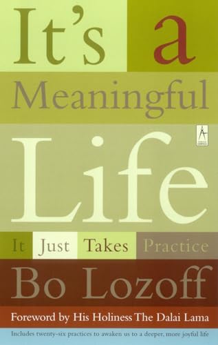 Lozoff - It's a Meaningful Life  It Just Takes Practice - New paperbac