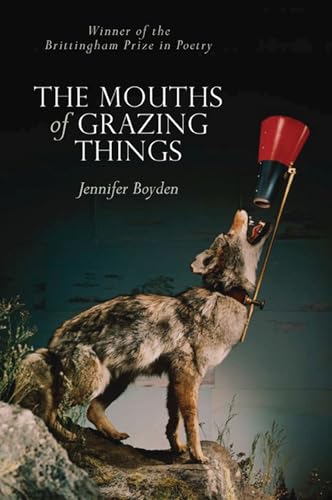 Boyden - Mouths of Grazing Things - New paperback or softback