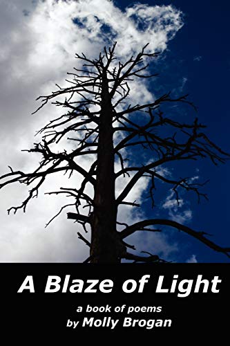 Brogan - A Blaze of Light - New paperback or softback