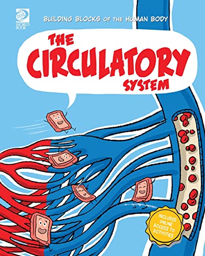 Midthun - Circulatory System - New paperback or softback