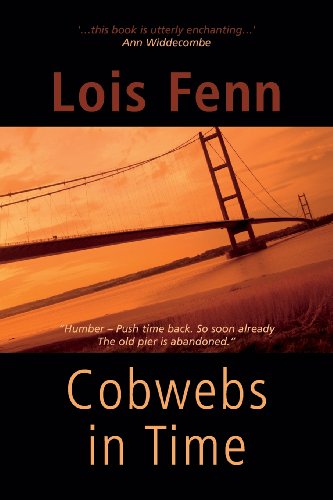 Fenn - Cobwebs in Time - New paperback or softback