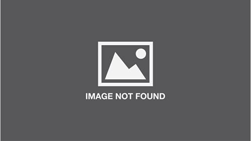 Whit - William the Wild: Australian Wild Series - New paperback or sof