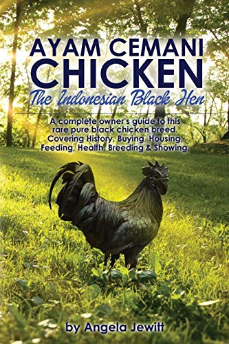 Jewitt - Ayam Cemani Chicken - The Indonesian Black Hen. A complete ow