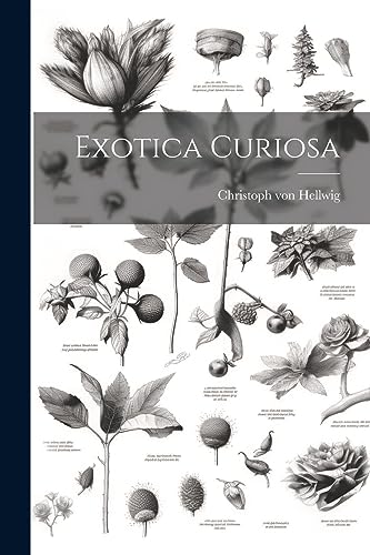 Hellwig - Exotica Curiosa - New paperback or softback