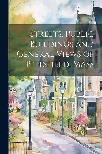 Anonymous - Streets, Public Buildings and General Views of Pittsfield,