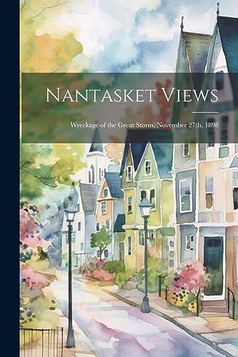 Anonymous - Nantasket Views; Wreckage of the Great Storm, November 27t