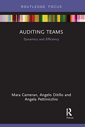 Cameran - Auditing Teams  Dynamics and Efficiency - New paperback or s