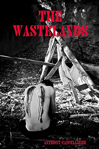 Cancellier - Wastelands - New paperback or softback