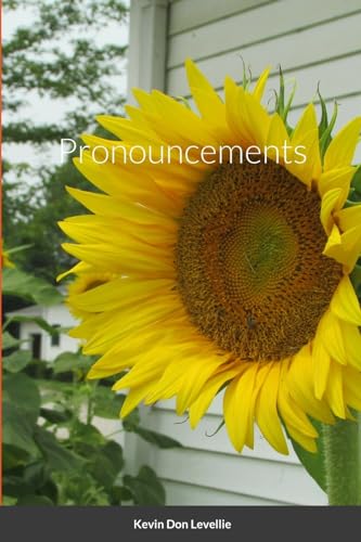 Levelli - Pronouncements - New paperback or softback