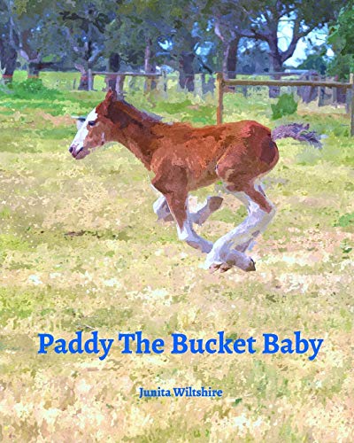 Wiltshir - Paddy The Bucket Baby - New paperback or softback