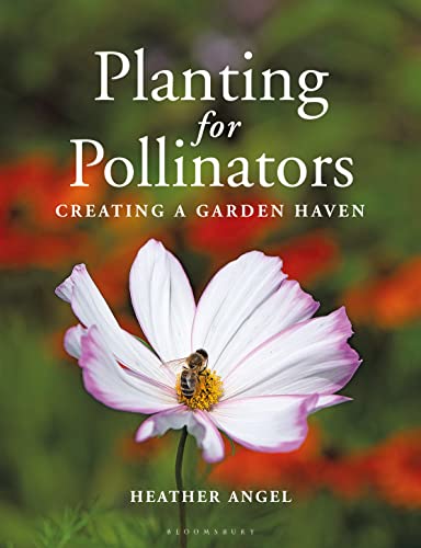 Heather Angel - Planting for Pollinators   Creating a Garden Haven - N