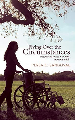 Sandoval - Flying Over the Circumstances  It Is Possible to Rise Over