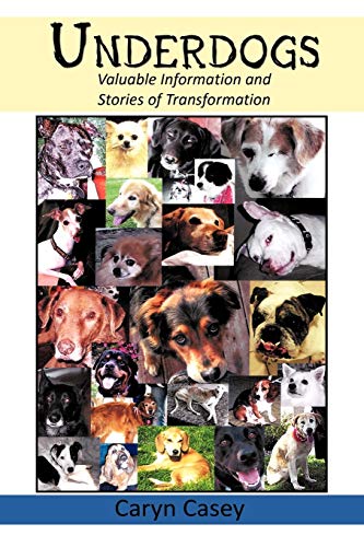 Casey - Underdogs: Valuable Information and Stories of Transformation