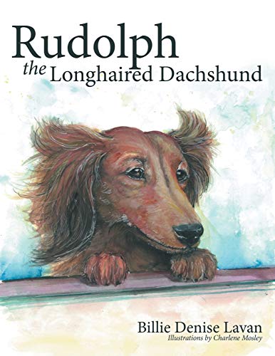 Lavan - Rudolph the Longhaired Dachshund - New paperback or softback
