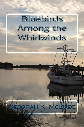 McDad - Bluebirds Among the Whirlwinds - New paperback or softback