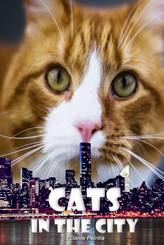 Petrilla - Cats in the City - New paperback or softback