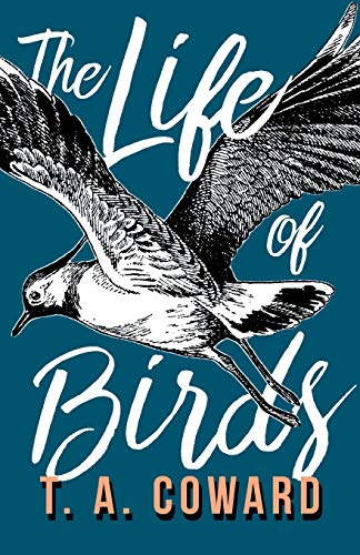 Coward - Life of Birds - New paperback or softback