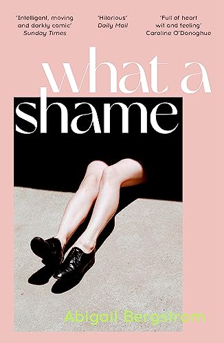 Abigail Bergstrom - What a Shame : &#39;Intelligent, moving and darkly