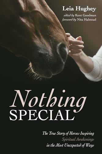 Hughey - Nothing Special: The True Story of Horses Inspiring Spiritual