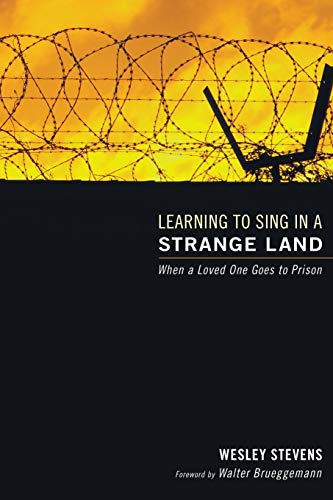 Stevens - Learning to Sing in a Strange Land - New paperback or softba