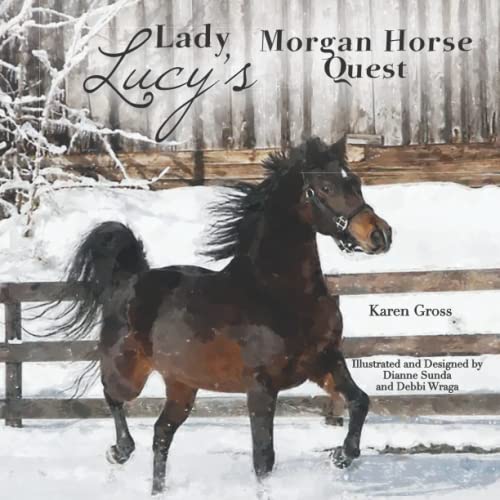 Gross - Lady Lucy's Morgan Horse Quest - New paperback or softback