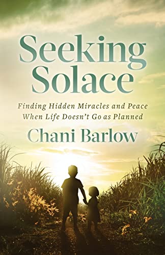 Barlow - Seeking Solace   Finding Hidden Miracles and Peace When Life