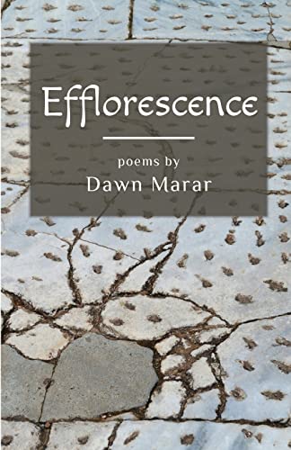 Marar - Efflorescence - New paperback or softback