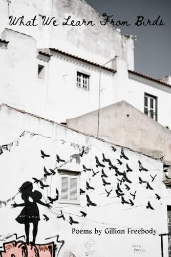 Freebody - What We Learn from Birds - New paperback or softback