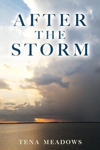 Meadows - After The Storm - New paperback or softback