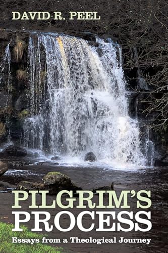 Peel - Pilgrim's Process - New paperback or softback