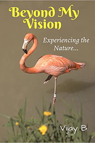 B - eyond My Vision - New paperback or softback