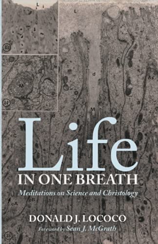 Lococo - Life in One Breath - New paperback or softback