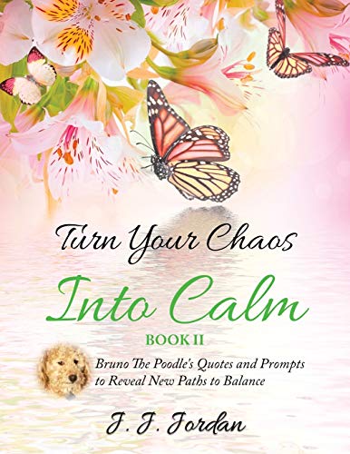 Jordan - Turn Your Chaos Into Calm - New paperback or softback