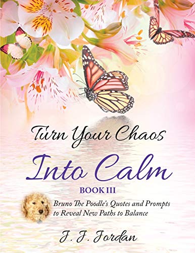Jordan - Turn Your Chaos Into Calm - New paperback or softback